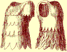 Two sets of body armor